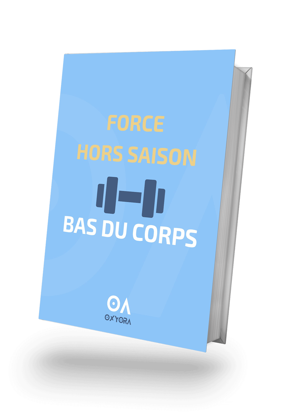 Programme Force hors-saison bas du corps